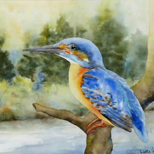 Eisvogel_III.jpg